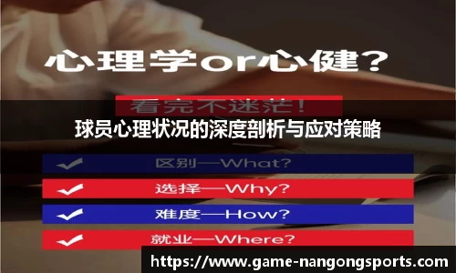 ng南宫娱乐官网